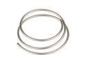 Image de DT Swiss Ratchet Springs