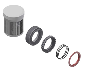 Picture of DT Swiss star ratchet EXP rings
