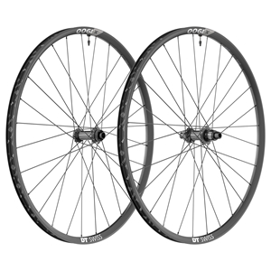 Picture of DT Swiss X1900 25mm
