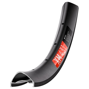 Picture of DT Swiss XM 431